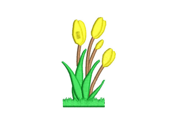 Flowers Tulips