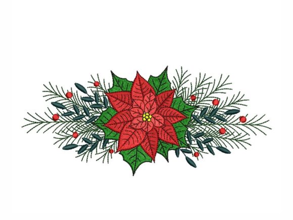 Poinsettia